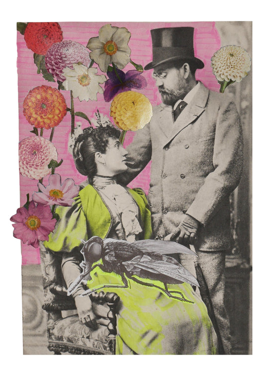 Companion Fly - A4 original print on fine cotton rag 1/1 - framed