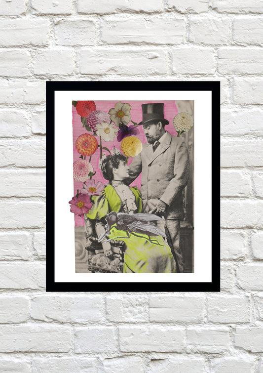 Companion Fly - A4 original print on fine cotton rag 1/1 - framed